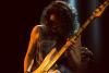 Adrian Belew (16)
